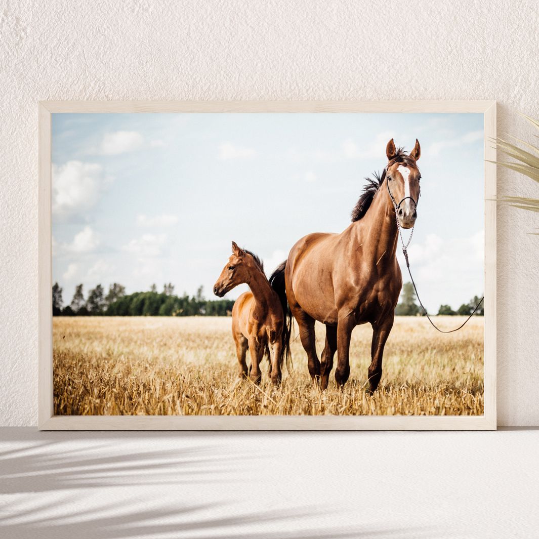 Постер "Лошадь с жеребенком" Черный, Белый, Дерево A4 [21×30] , A3 [30x40], A2 [40x60]