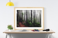Постер "Тропинка в лесу" Черный, Белый, Дерево A4 [21×30] 