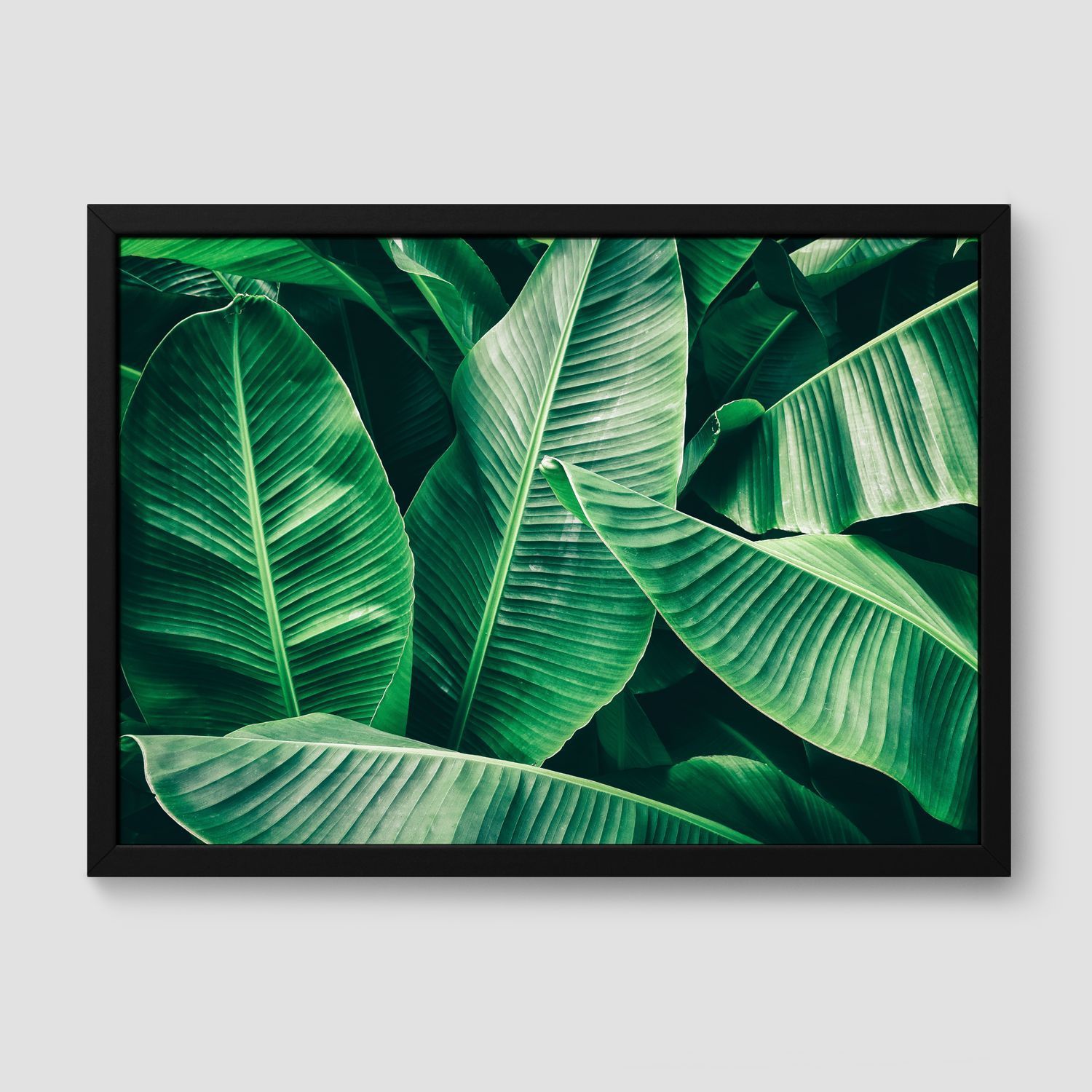 Постер "Тропическая зелень" Черный, Белый, Дерево A4 [21×30] , A3 [30x40], A2 [40x60], A1 [60x80]