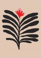 Постер "Tropic Flower by Matisse" от Интернет магазина Милота