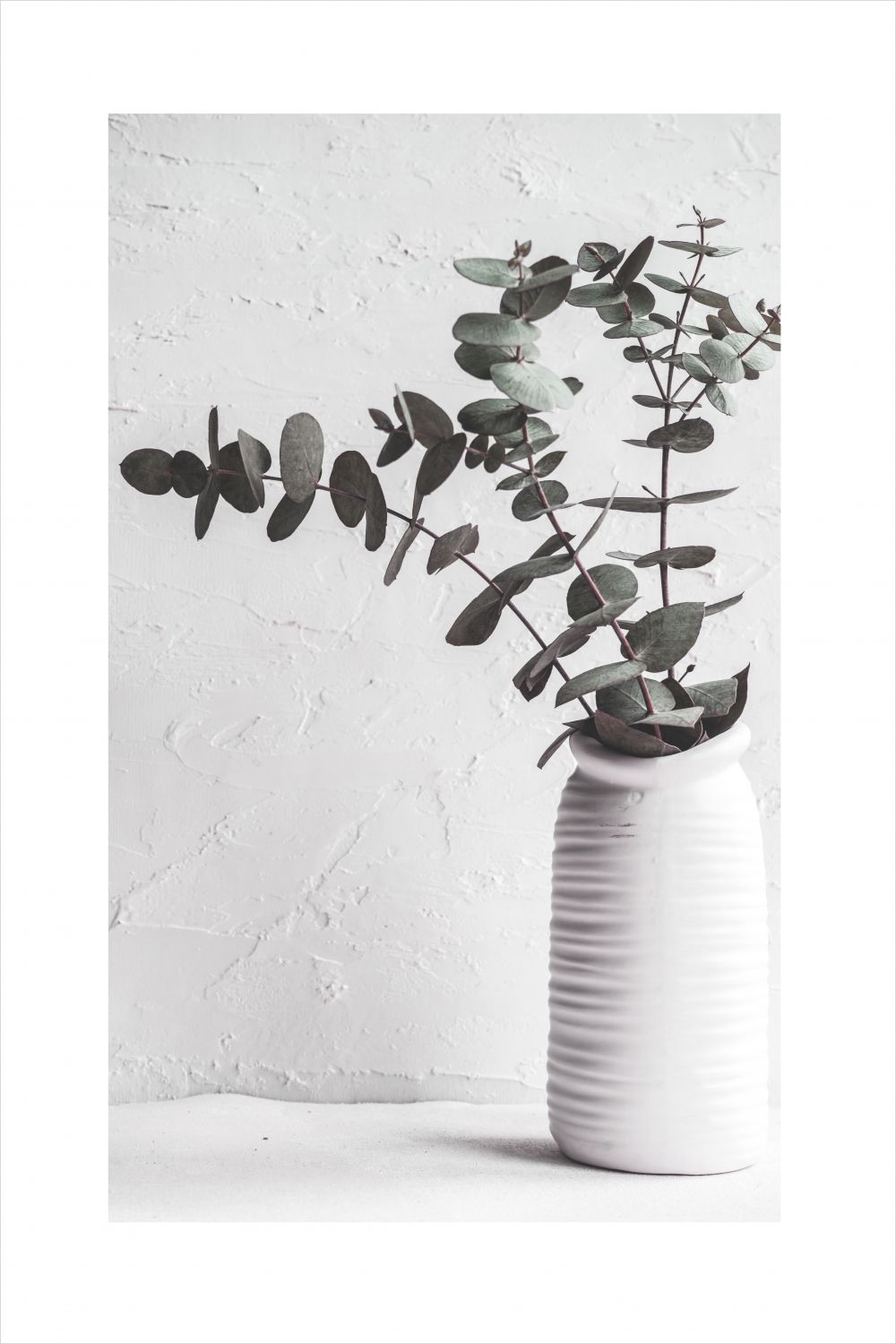 Постер "Эвкалипт в вазе" Черный, Белый, Дерево A4 [21×30] , A3 [30x40], A2 [40x60], A1 [60x80]