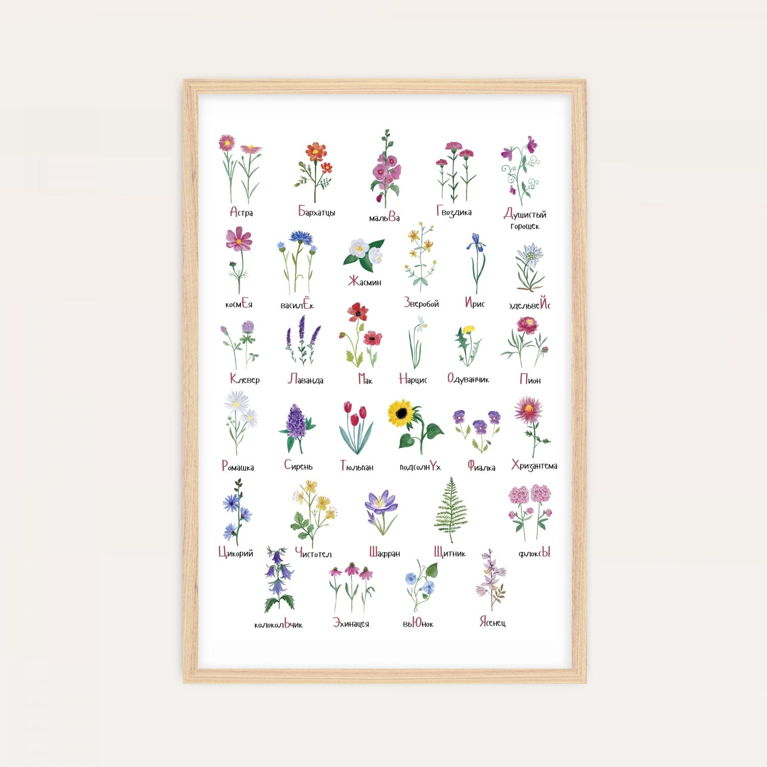Постер "Алфавит ботаника" от Интернет магазина Милота