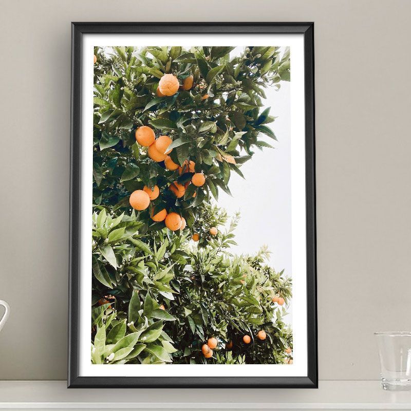 Постер "Апельсиновое дерево" Черный, Белый, Дерево A4 [21×30] , A3 [30x40], A2 [40x60]