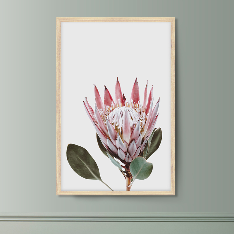 Постер "Protea" Черный, Белый, Дерево A4 [21×30] , A3 [30x40], A2 [40x60]