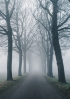 Постер "Дорога в тумане" Черный, Белый, Дерево A4 [21×30] , A3 [30x40], A2 [40x60], A1 [60x80]