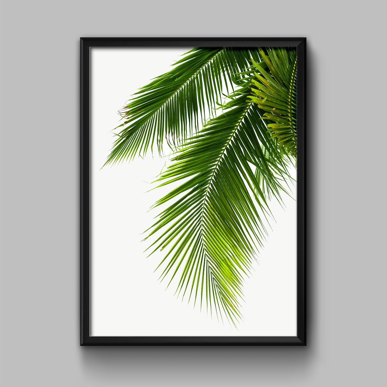 Постер "Пальмовый лист 09" Черный, Белый, Дерево A4 [21×30] , A3 [30x40], A2 [40x60], A1 [60x80]