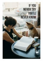 Постер "if never try"