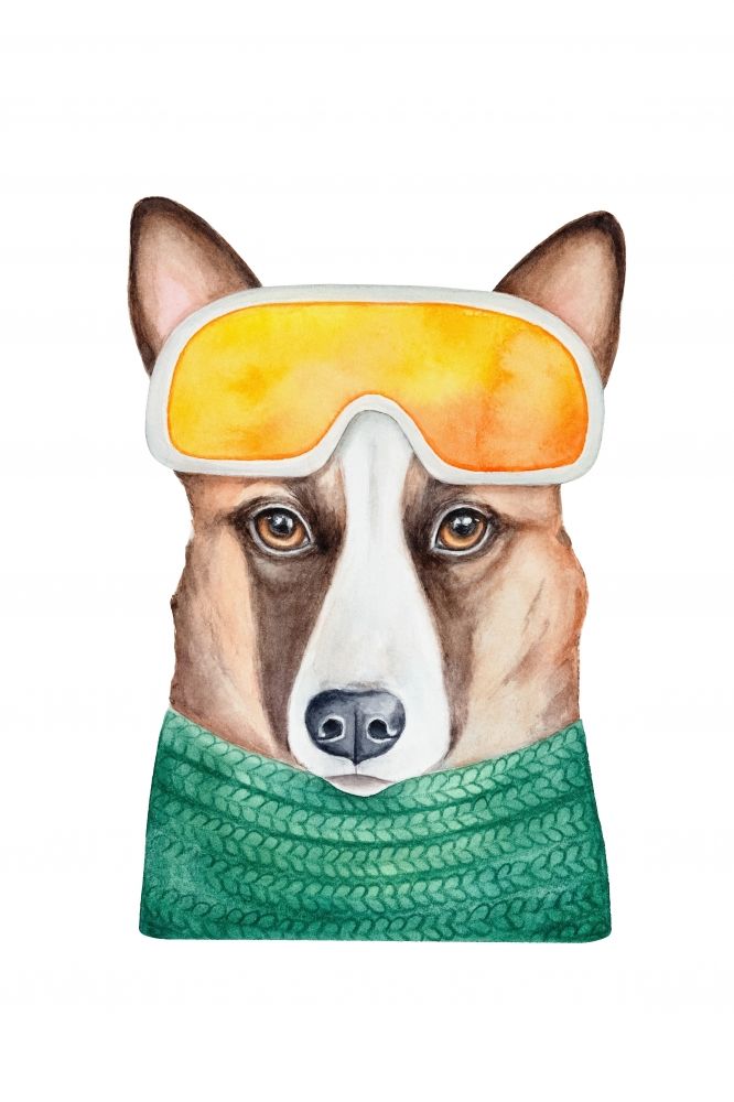 Постер "Собака-подозревака" от Интернет магазина Милота