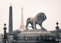 Постер "Статуя льва в Париже"