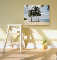 Постер "Кокосовые деревья на пляже" Черный, Белый, Дерево A4 [21×30] , A3 [30x40], A2 [40x60], A1 [60x80]