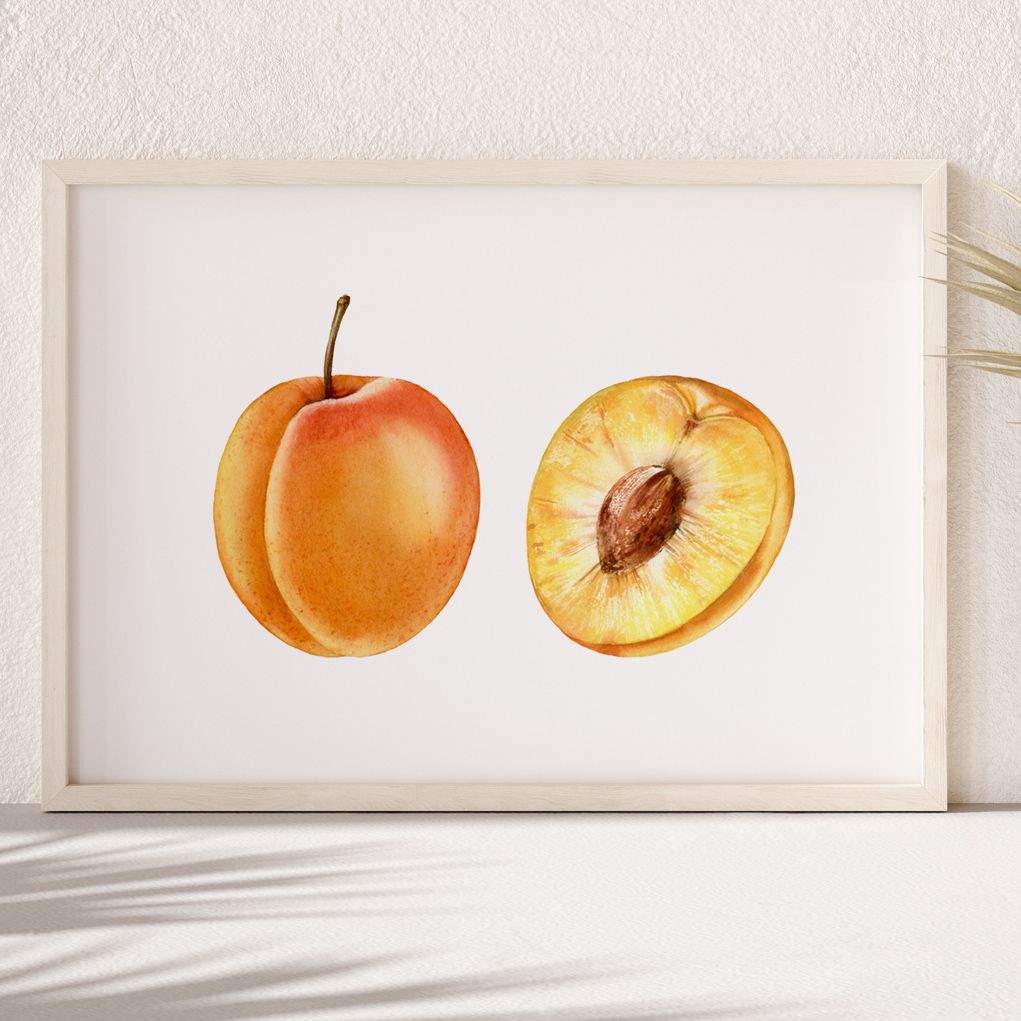Постер "Акварельные абрикосы" от Интернет магазина Милота