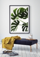Постер "Монстера" на тему: ботаника [цветы, растения] скандинавский стиль минимализм . 