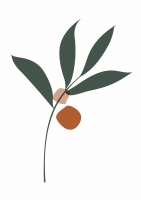 Постер "Olive leaf" от Интернет магазина Милота