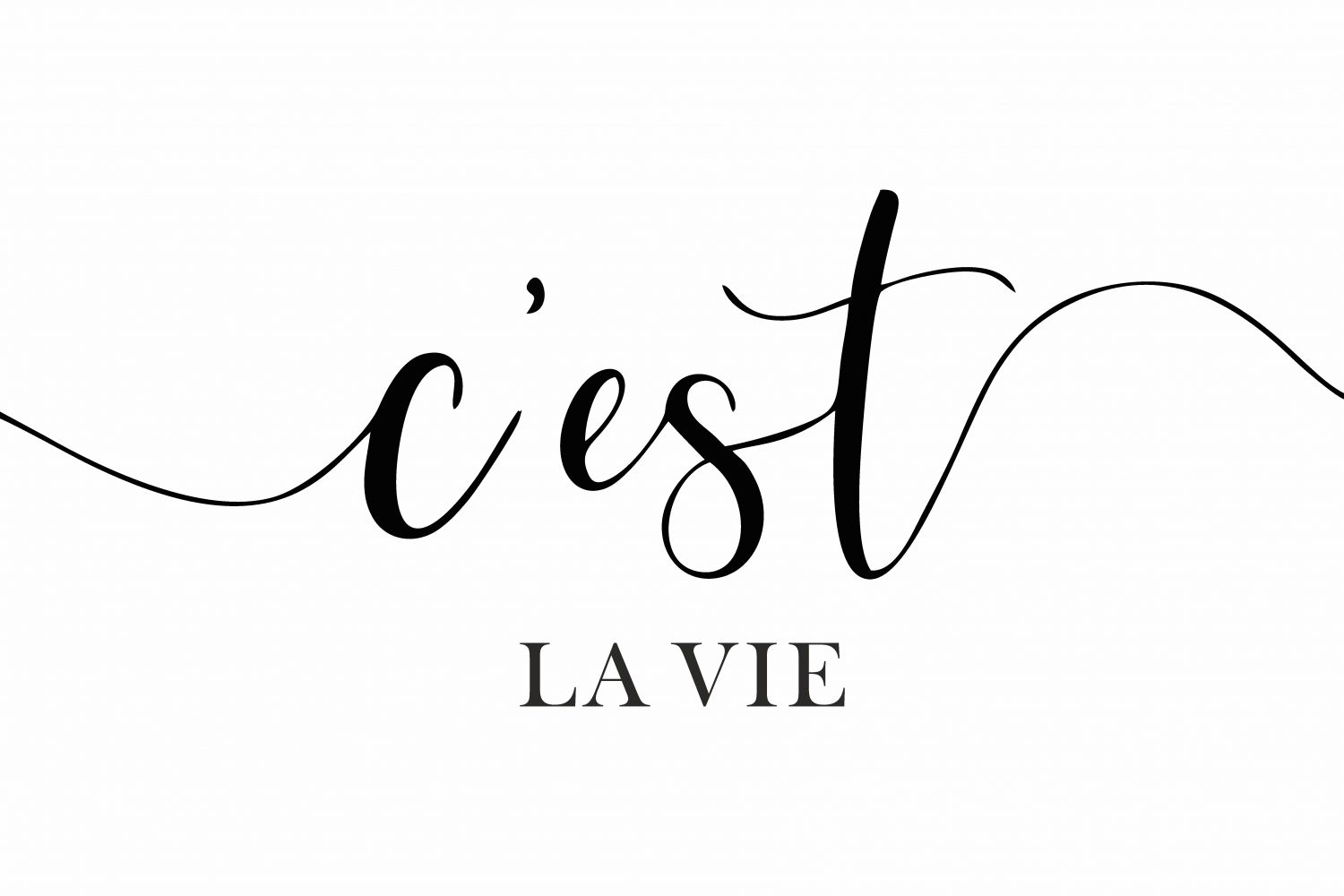 Постер "C'est la vie"