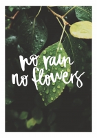 Постер "Без дождя нет цветов"