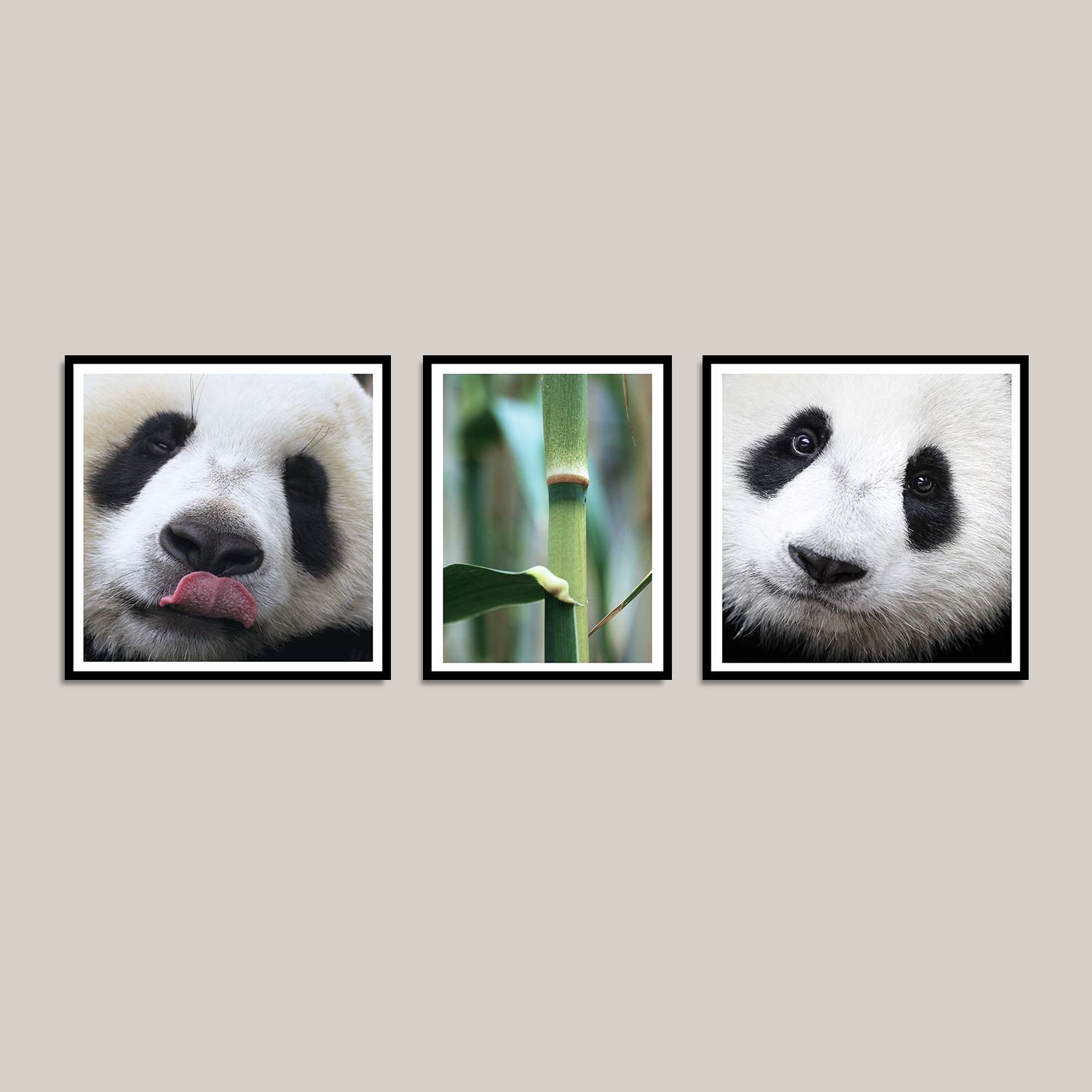 Набор постеров "Чудо панда"