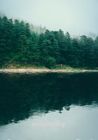 Постер "Озеро Синевир" Черный, Белый, Дерево A4 [21×30] , A3 [30x40], A2 [40x60], A1 [60x80]