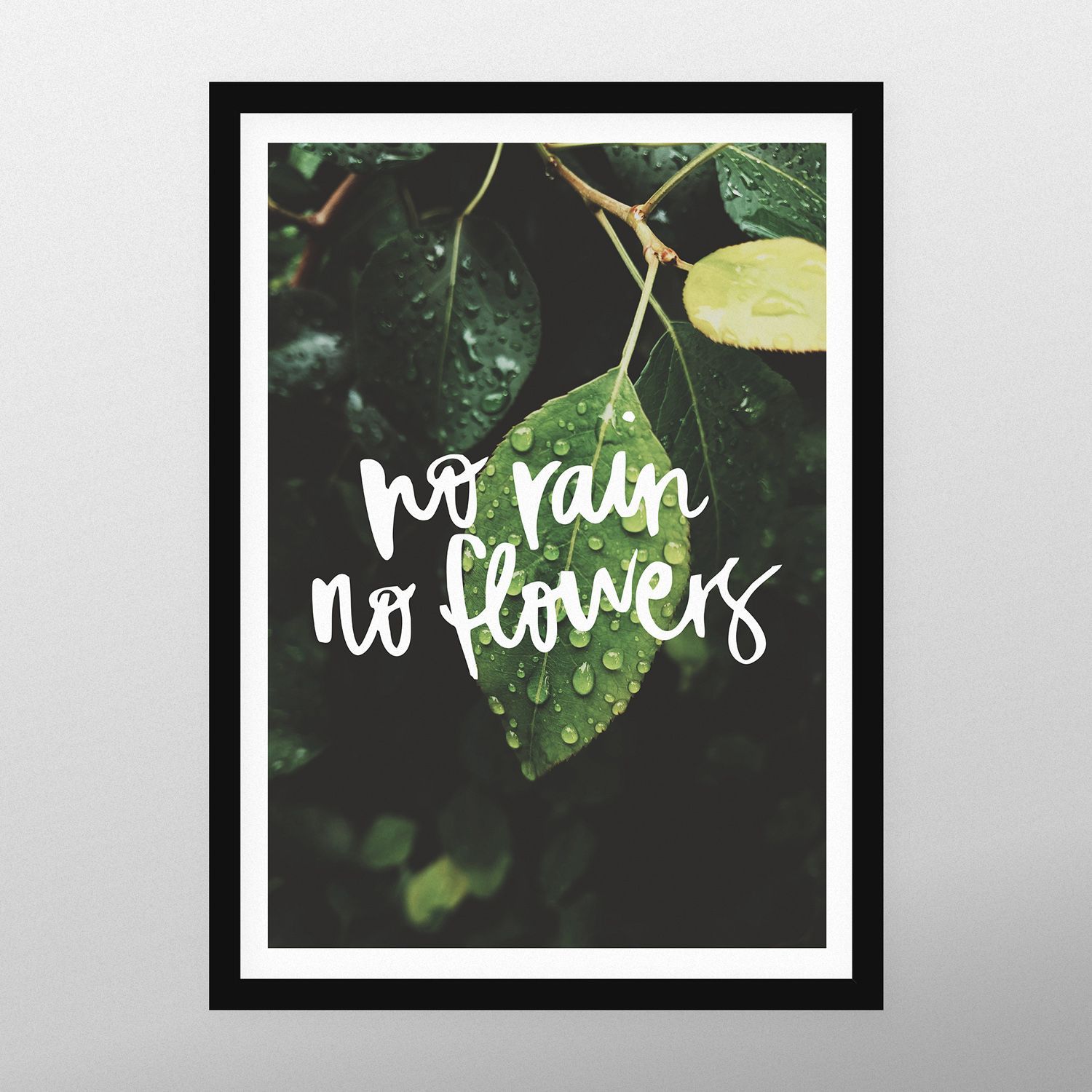 Постер "Без дождя нет цветов"