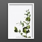 Постер "Листья эвкалипта" A2 с рамкой белый