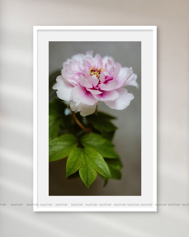 Набор постеров "Просто Луиза"