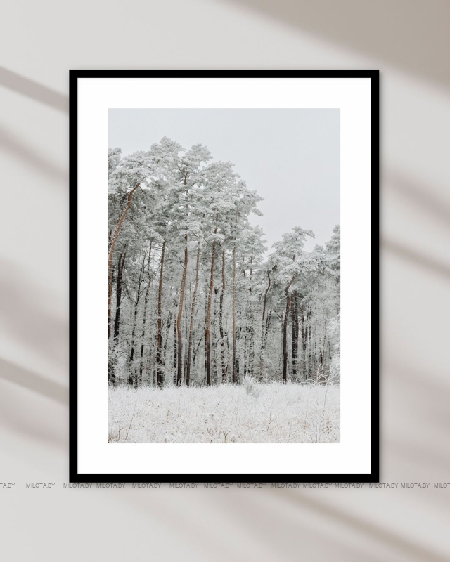 Набор постеров "Пион богини Геджин"