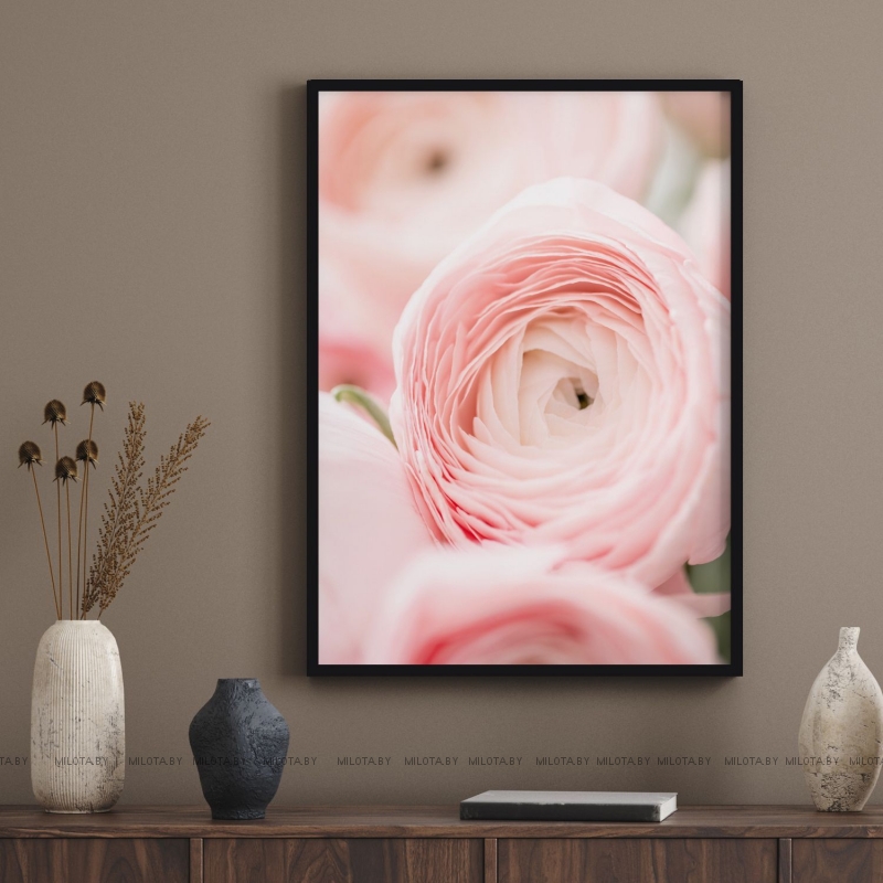 Постер "Ранункулюс" Без рамки, Рамка A4 c небьющимся стеклом, Рамка A3 c небьющимся стеклом, Рамка A2 c небьющимся стеклом, Рамка A1 c небьющимся стеклом 