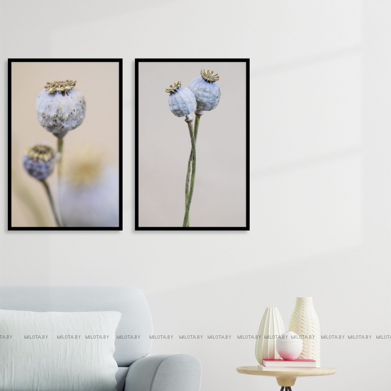 Набор "Папавер"