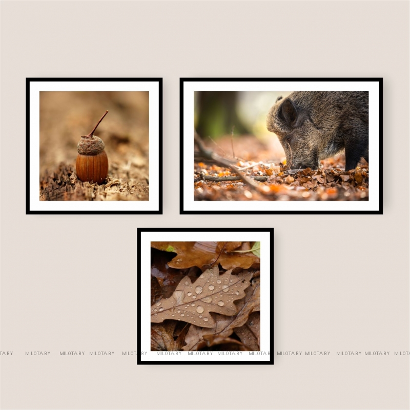 Набор постеров "Время обеда"