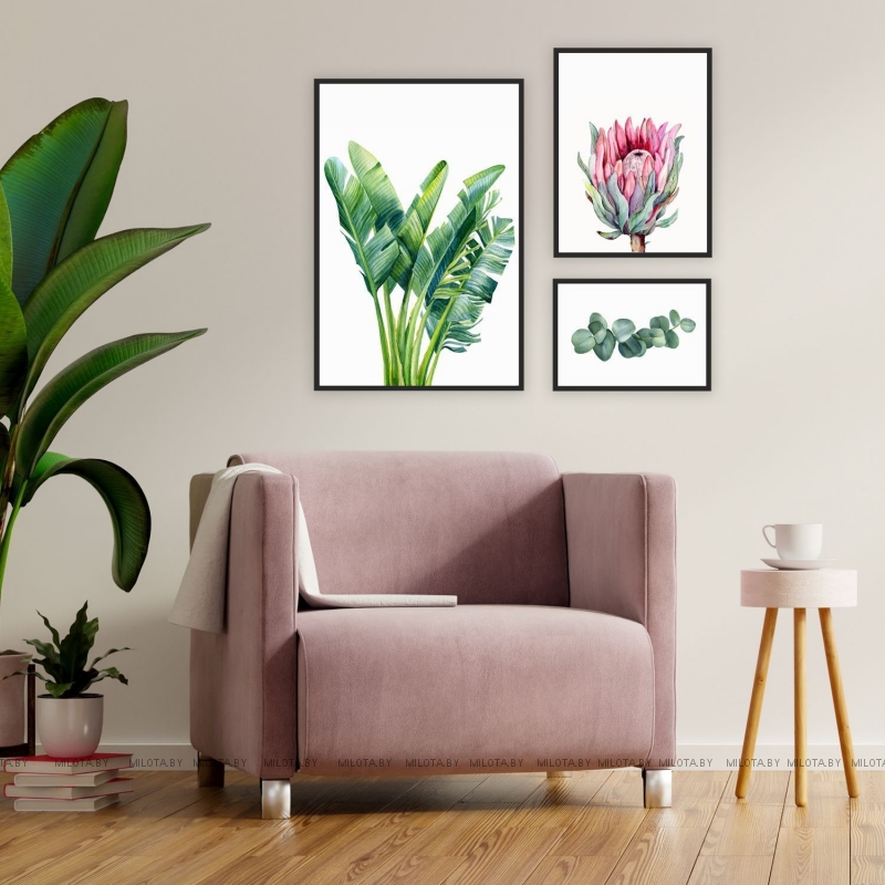 Набор постеров "Банановые листья с протеей"