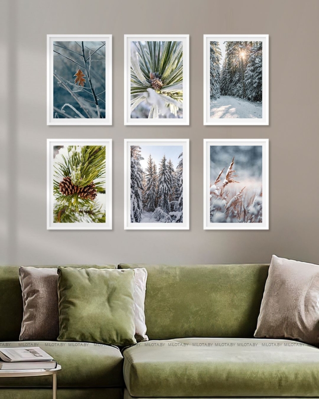 Набор постеров "Ароматы хвои"