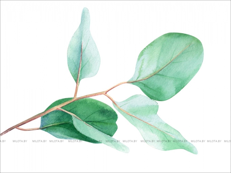 Набор постеров "Верь в чудо"