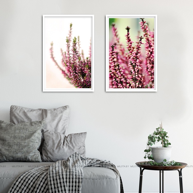 Набор постеров "Вереск"