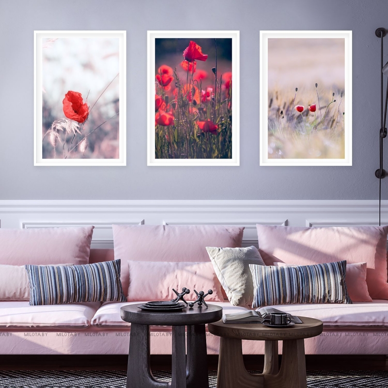 Набор постеров "Магия цвета"