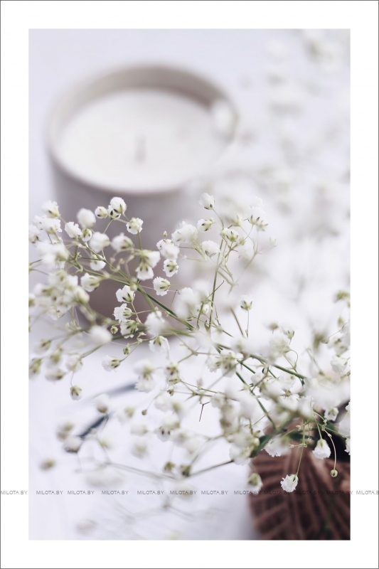 Набор постеров "Без пяти минут лето"