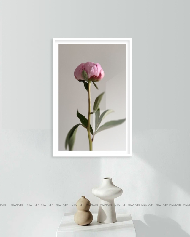 Набор постеров "Пион богини Геджин"