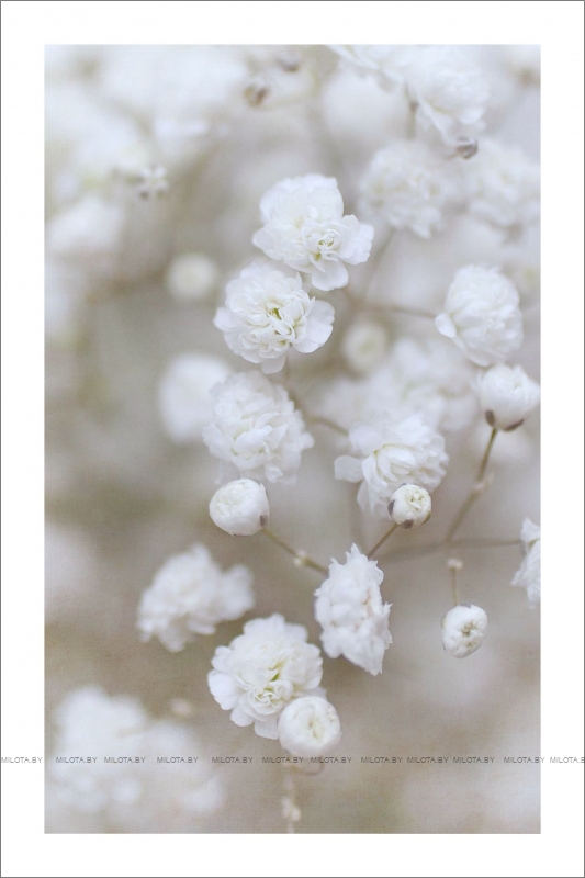 Набор постеров "Без пяти минут лето"