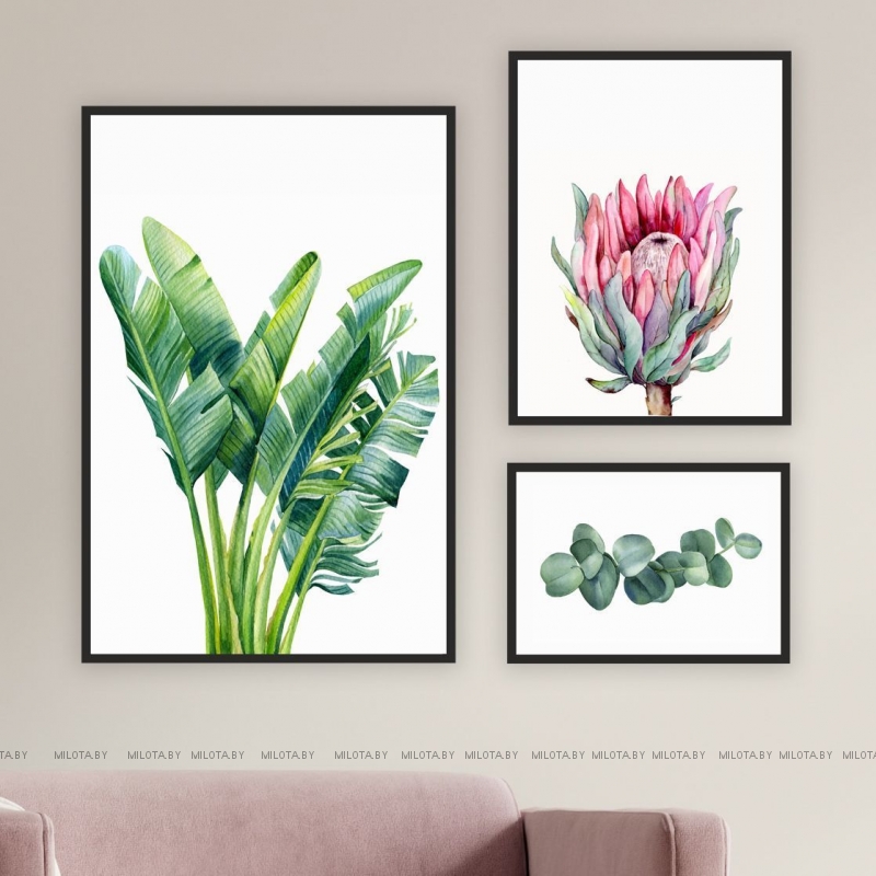 Набор постеров "Банановые листья с протеей"