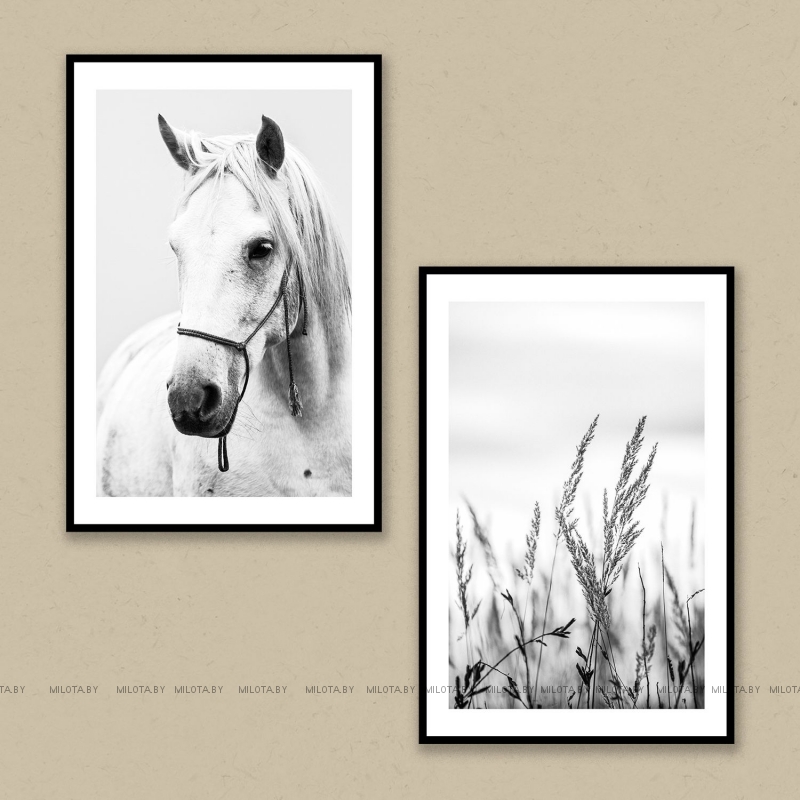 Набор постеров "Рассветный час"