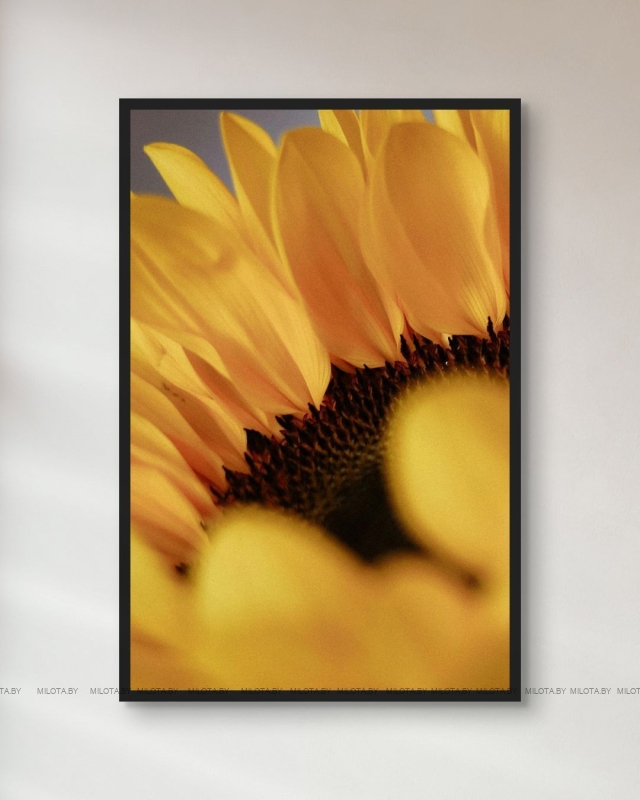 Набор постеров "Солнце в каждом лепестке"