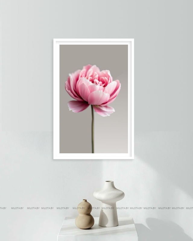 Набор постеров "Пион богини Геджин"