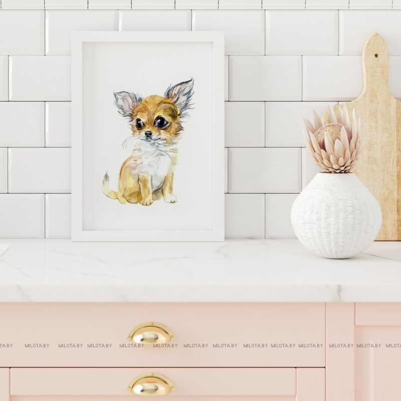 Постер "Малышка Софи" от Интернет магазина Милота