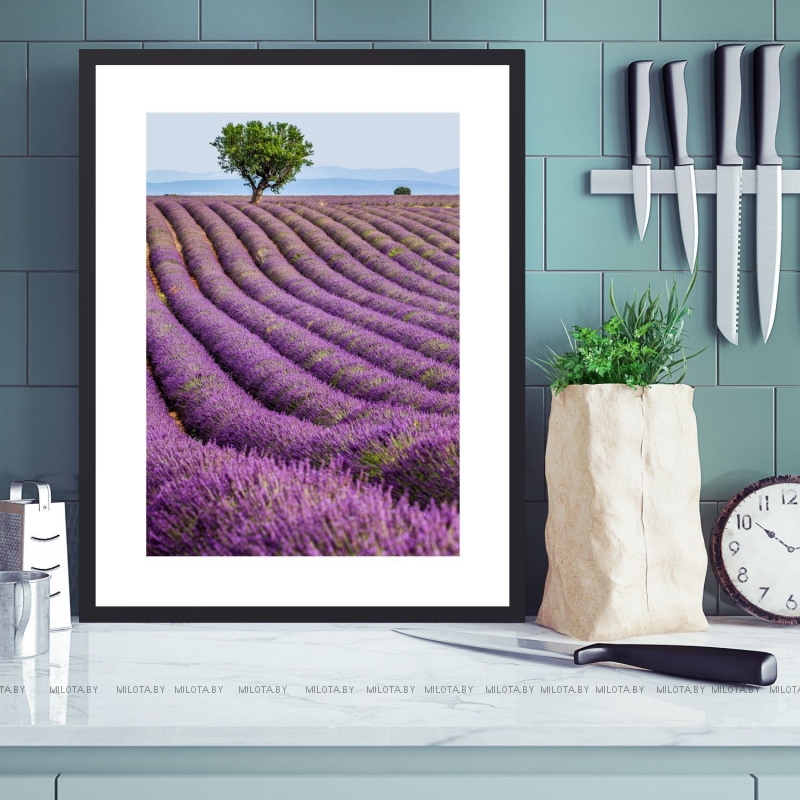 Постер "Лавандовые поля" Без рамки, Рамка A4 c небьющимся стеклом, Рамка A3 c небьющимся стеклом, Рамка A2 c небьющимся стеклом 