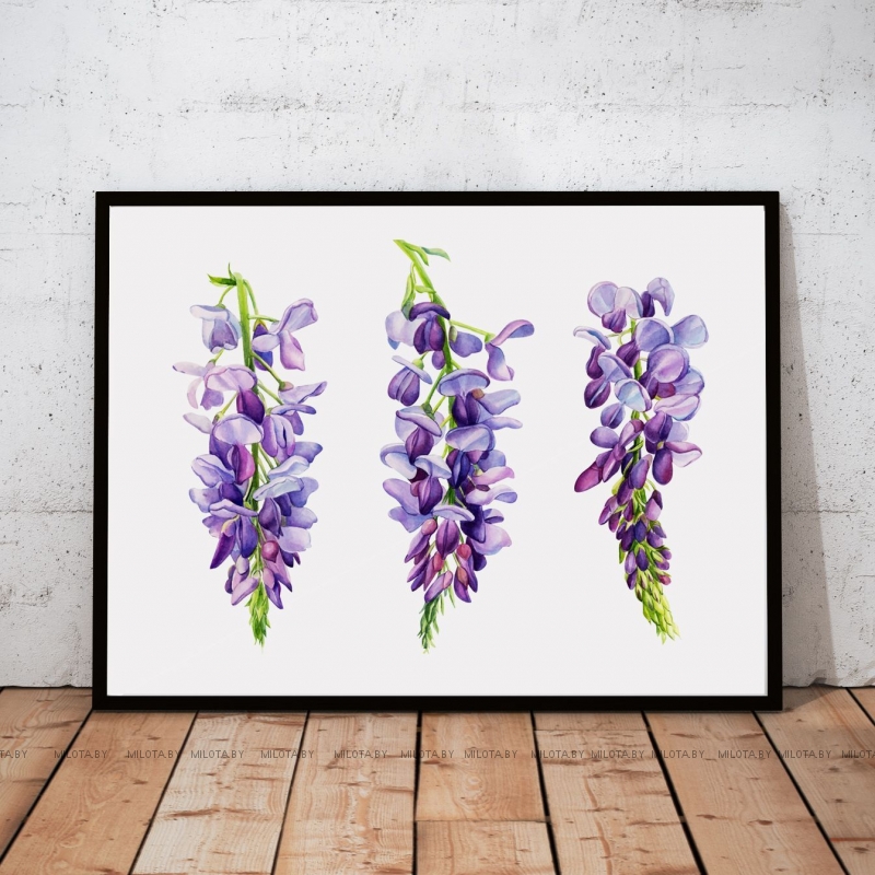 Постер "Грозди глицинии" от Интернет магазина Милота