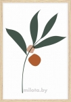 Постер "Olive leaf" A1 с рамкой дерево
