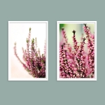 Набор постеров "Вереск"