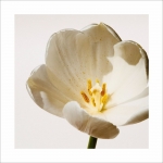 Набор постеров "В ожидании чуда" Набор постеров "В ожидании чуда"