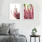 Набор постеров "Вереск"