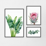 Набор постеров "Банановые листья с протеей"