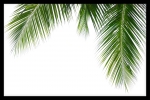 Постер "Vamos a la playa" A3 с рамкой черный